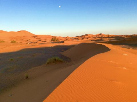 Saharadünen bei Erg chebbi