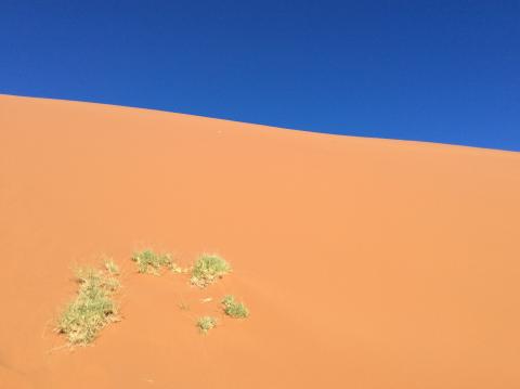 Namibwüste 
