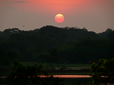 Vorm Yalla Nationalpark bei Sonnenaufgang
