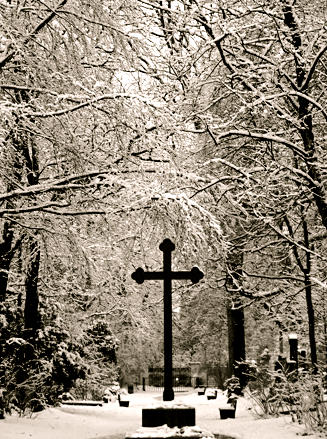 Alter Nordfriedhof Zentral