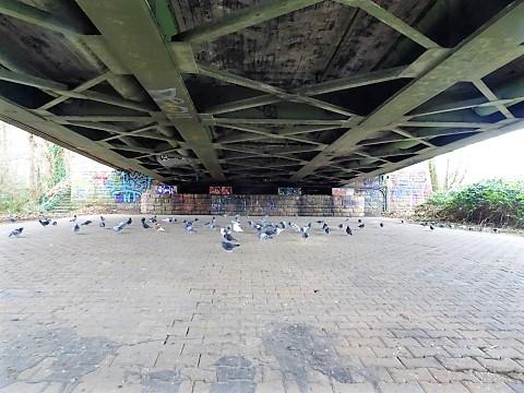 Tauben unter der Kurt-Schumacher-Brücke von Steele nach Überruhr